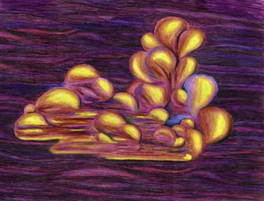 Color Cloud image